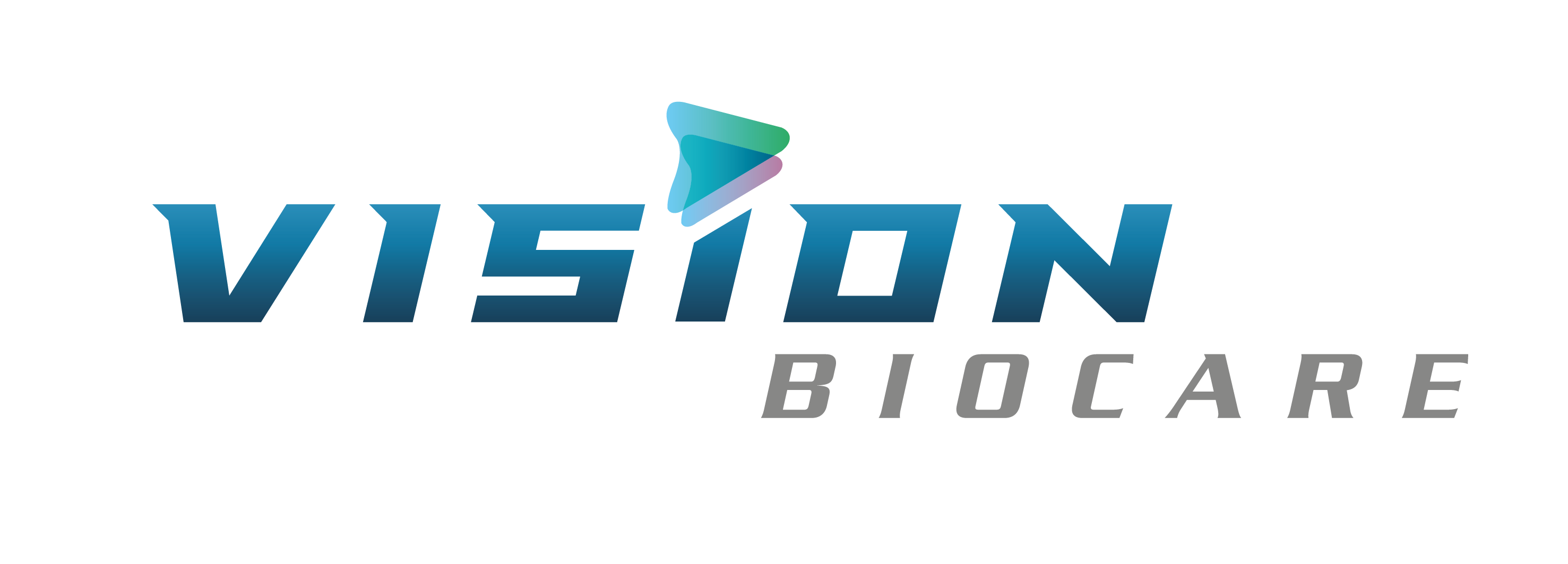 비전바이오케어